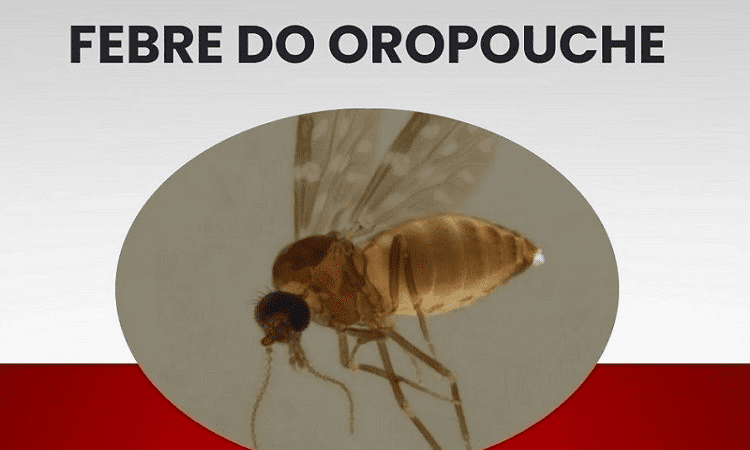 Alerta de saúde: Febre do Oropouche identificada no Espírito Santo pelo Lacen