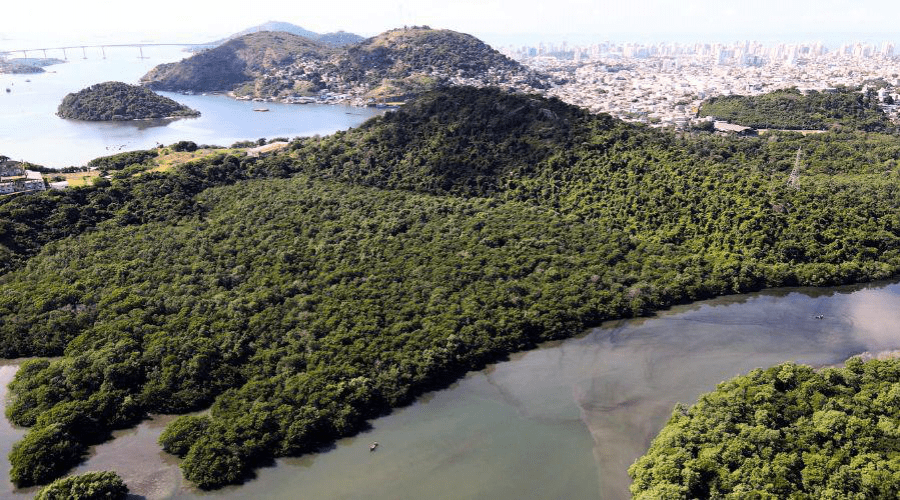 Vila velha inicia Junho Verde com edital para plantio de mais de 50 mudas de árvores