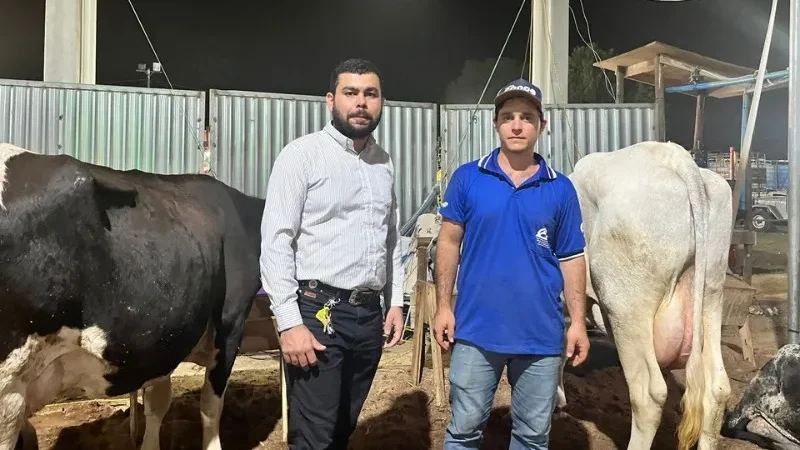 Vacas no ES produzem mais de 70 kg de leite por dia e conquistam prêmio