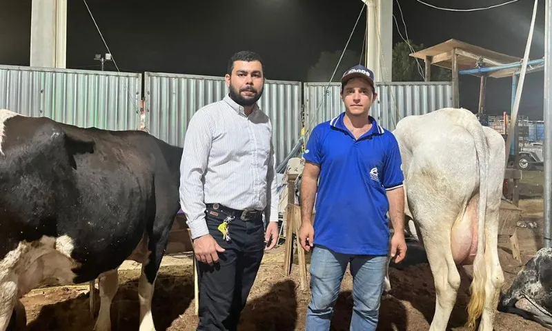 Vacas no ES produzem mais de 70 kg de leite por dia e conquistam prêmio