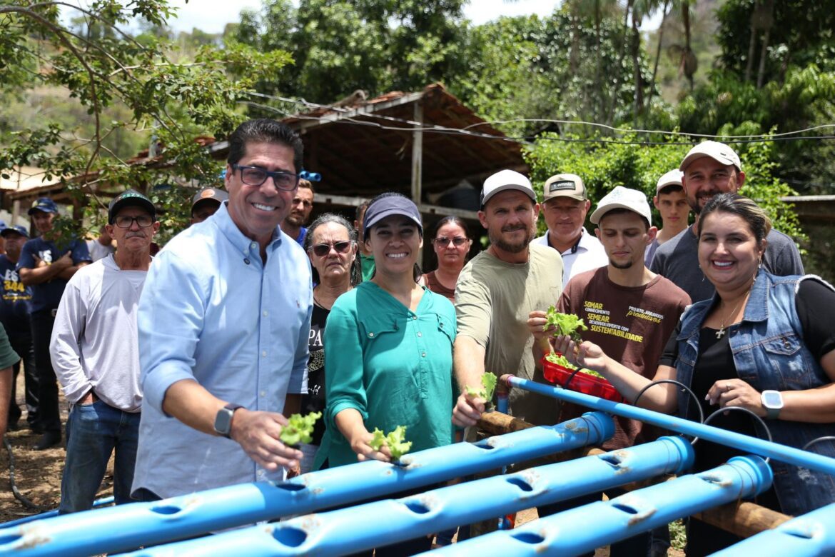 Assembleia Legislativa distribui mais de 20 mil mudas para pequenos agricultores