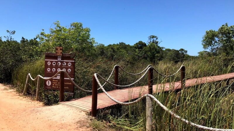 Trilhas do Parque Estadual Paulo César Vinha estarão fechadas para visitação na manhã de segunda-feira (27)