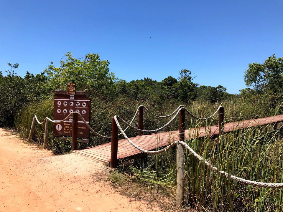 Trilhas do Parque Estadual Paulo César Vinha estarão fechadas para visitação na manhã de segunda-feira (27)