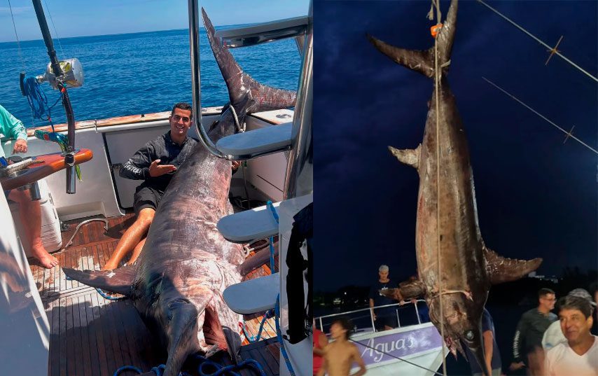 Histórico! Peixe Meca de 328 kg é pescado em Guarapari